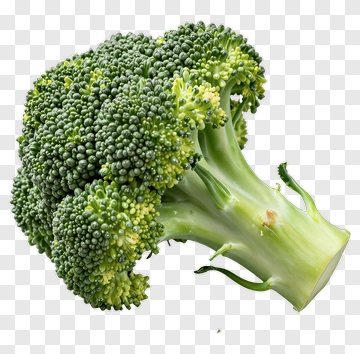 Fresh Broccoli PNG