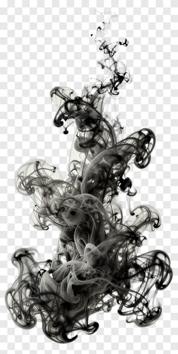 Black And White Ink Swirl PNG
