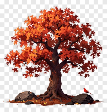 Colorful Autumn Tree With Rocks PNG