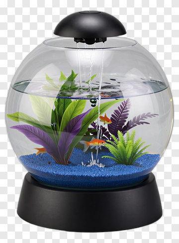 Fishbowl With Goldfish And Decorative Plants PNG