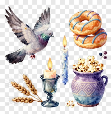 Watercolor Pigeon With Donuts And Candles PNG