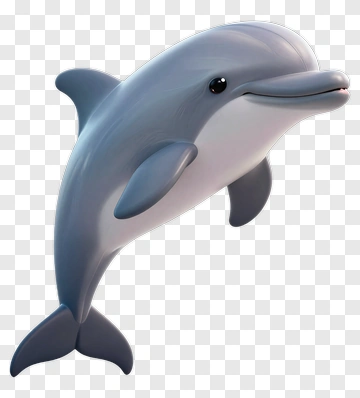 3D Dolphin PNG