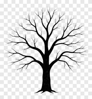 Black Tree With Bare Branches PNG