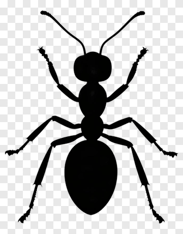 Silhouette Of An Ant PNG