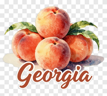 Peach Arrangement With Georgia Text PNG