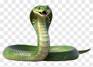 Green Cobra Snake PNG