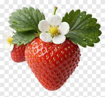 Fresh Strawberry With Flower PNG