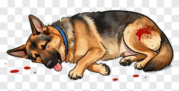 Injured German Shepherd Dog PNG