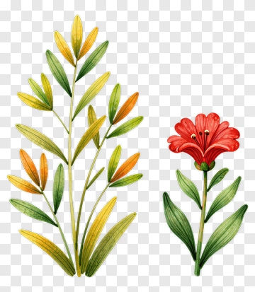 Colorful Flower And Green Leaves Illustration PNG