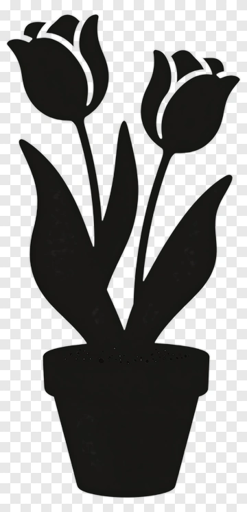 Black Tulip Plant In Pot PNG