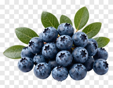 Fresh Blueberries With Green Leaves PNG