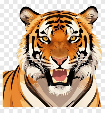 Angry Tiger Face PNG