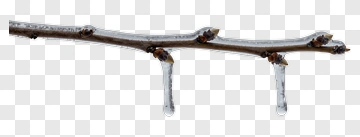 Ice-Covered Branch With Dripping Icicles PNG