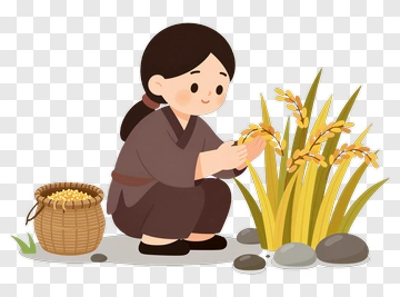 Cartoon Woman Harvesting Rice PNG