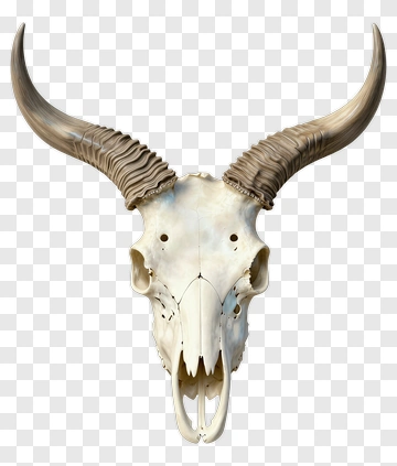 Animal Skull With Horns PNG