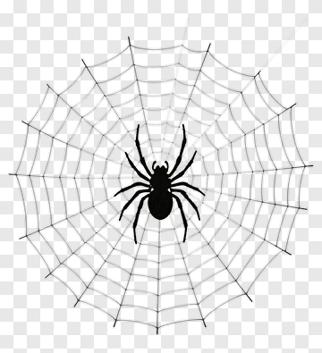Black Spider On A Web PNG