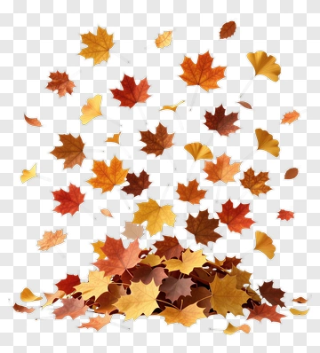Falling Autumn Leaves PNG