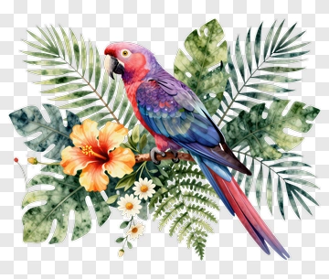 Colorful Parrot Sitting On Tropical Leaves And Flowers PNG