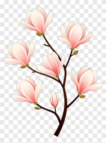 Pink Magnolia Blossom Branch PNG