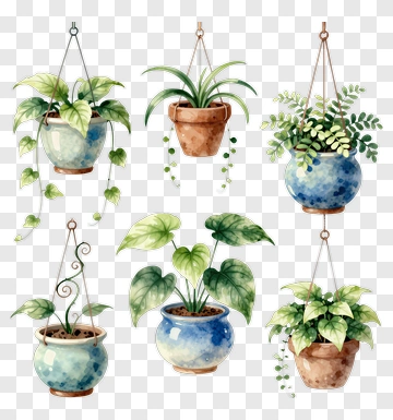 Hanging Plants In Decorative Pots PNG