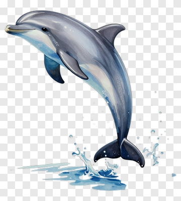 Realistic Dolphin Jumping Out Of Water PNG
