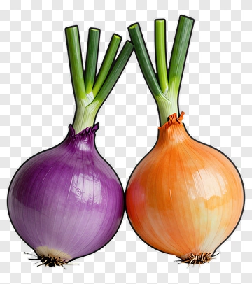Purple And Orange Onions PNG