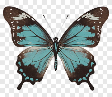 Blue Butterfly PNG