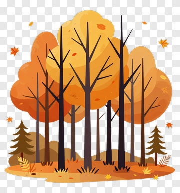 Autumn Forest With Colorful Trees PNG