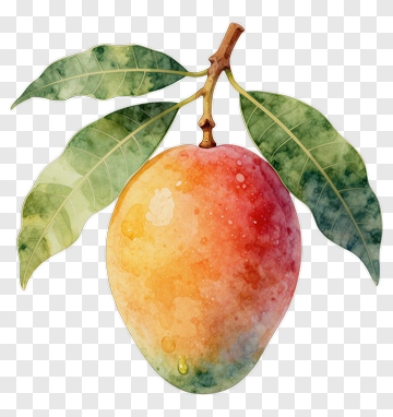 Watercolor Mango With Leaves PNG