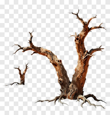 Detailed Tree With Twisted Branches PNG