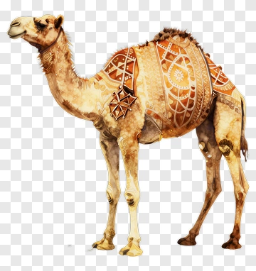 Camel With Decorative Patterns PNG