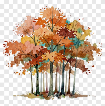 Colorful Autumn Trees PNG