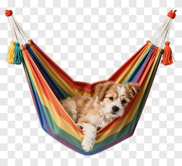 Dog Relaxing In A Colorful Hammock PNG