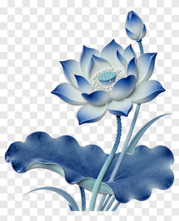 Blue Lotus Flower With Leaves PNG