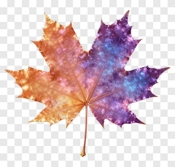 Colorful Galaxy Leaf PNG