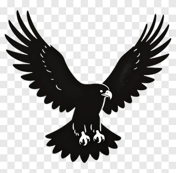 Black Hawk In Flight PNG