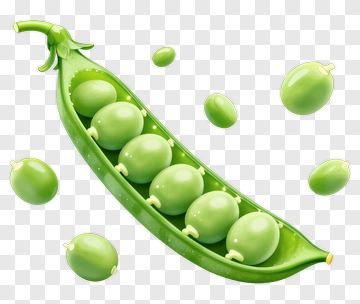 Green Pea Pod With Peas PNG