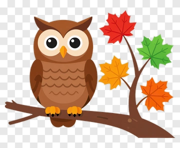 Cartoon Owl Sitting On A Branch With Colorful Leaves PNG