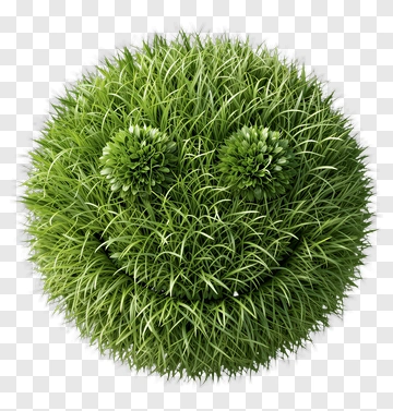 Smiley Face Made Of Grass PNG