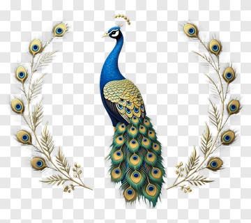 Colorful Peacock Surrounded By Floral Elements PNG