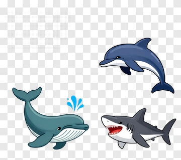 Cartoon Marine Animals Including Dolphin, Shark, And Whale PNG