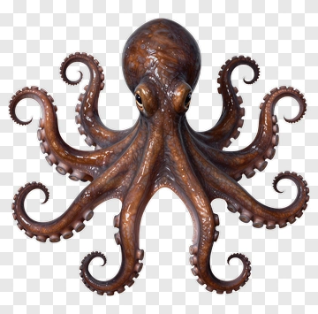 3D Octopus With Detailed Textures PNG