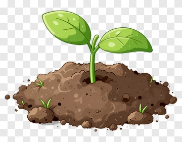 Cartoon Seedling Growing From Soil PNG