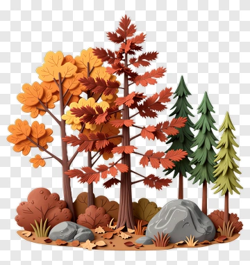 Colorful Autumn Forest With Trees And Rocks PNG