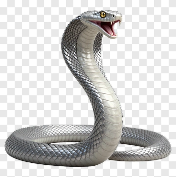 3D Cobra Snake PNG