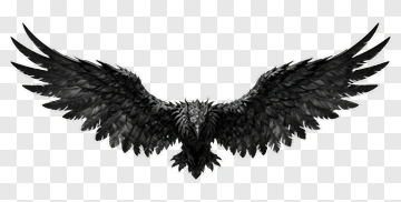 Black Eagle With Outstretched Wings PNG