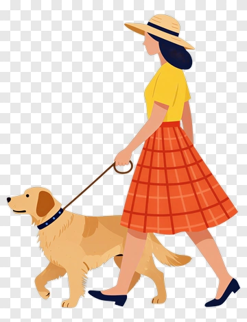 Woman Walking A Golden Retriever PNG