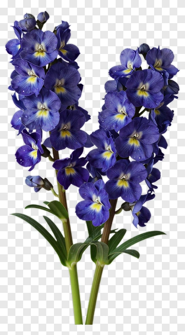Purple Orchid Flower Arrangement PNG