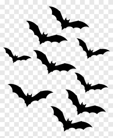 Group Of Flying Bats PNG