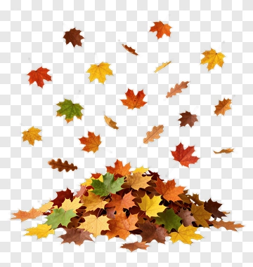 Colorful Pile Of Autumn Leaves PNG